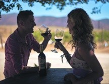 ENTRE VIÑEDOS. Una propuesta que te permite visitar tanto los sembradíos como las bodegas de prestigiadas marcas. ¡Se antoja! CORTESÍA • SEST