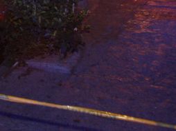 Los hechos ocurrieron a la altura de la Nueva Central Camionera, en la colonia Camichines. EL INFORMADOR / ARCHIVO