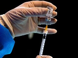 A mediados de enero, Pfizer informó que reduciría por algunas semanas las entregas de vacunas por un cambio en su capacidad de producción por adaptaciones en su planta en Bélgica. AFP / T. Fabi