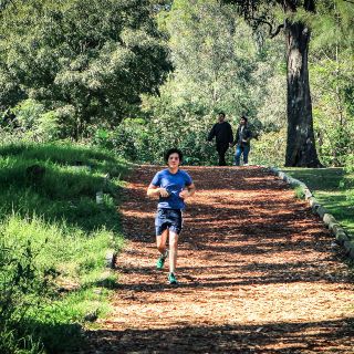 COVID-19: AMLO llama a comenzar a abrir espacios deportivos