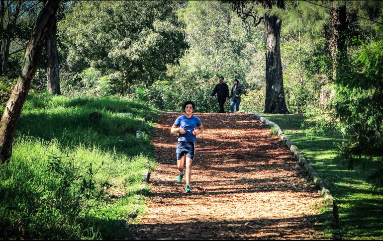 El Presidente señala que ''ha quedado de manifiesto con esta terrible pandemia que si estamos en buena condición física, podemos resistir mejor el embate de la pandemia, del virus''. EL INFORMADOR / ARCHIVO