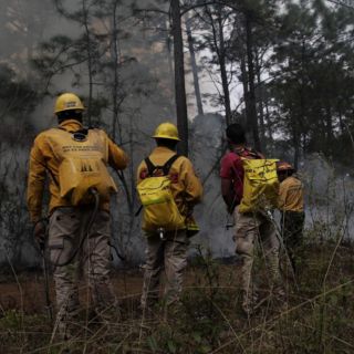 Advierten de incendios forestales “más peligrosos” por fenómeno “La Niña”
