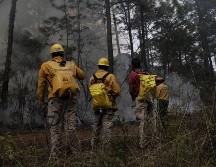 Buscan consolidar las capacidades en todos los sectores en el manejo del fuego en el estado de Jalisco. ESPECIAL/Semadet