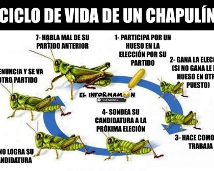 Elecciones: ¿Qué es un chapulín?