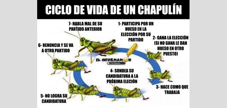 Elecciones: ¿Qué es un chapulín?