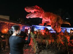 Los dinosaurios son uno de los principales atractivos y encontrarás a las más legendarias especies como el Tiranosaurio Rex. EL INFORMADOR/G. Gallo