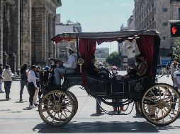 La nueva estrategia que estará vigente hasta el 15 de diciembre.  EL INFORMADOR/G. Gallo