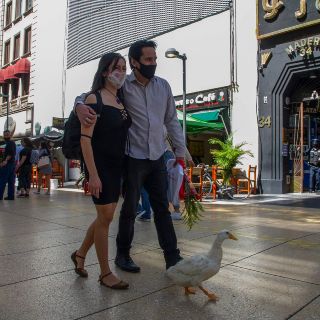 México llega a 174 mil 207 muertes por COVID-19