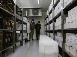 Se destinarán a las regiones sanitarias de Colotlán, Tamazula, Ciudad Guzmán, Autlán, Puerto Vallarta y Ameca. Cortesía / Gobierno de Jalisco