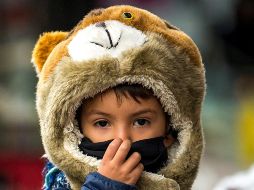 En algunas zonas de Jalisco se esperan rachas de viento de 50 a 60 km/h. EFE/ARCHIVO