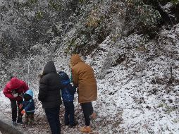 Ayer se registró un apagón en varias entidades del Norte del país debido a las bajas temperaturas. SUN / ARCHIVO