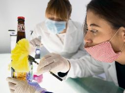 PRÁCTICAS. Los laboratorios especializados de CLEU cuentan con instalaciones para desarrollar investigación. ESPECIAL