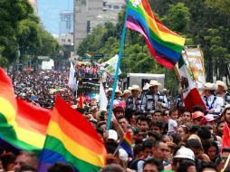 Recuerdan a los congresistas de Puebla que están obligados en materia de armonización legislativa y en materia de derechos humanos a legislar en temas trans. EFE/ARCHIVO