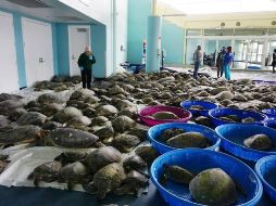 AP/M. Roberts-The Brownsville Herald