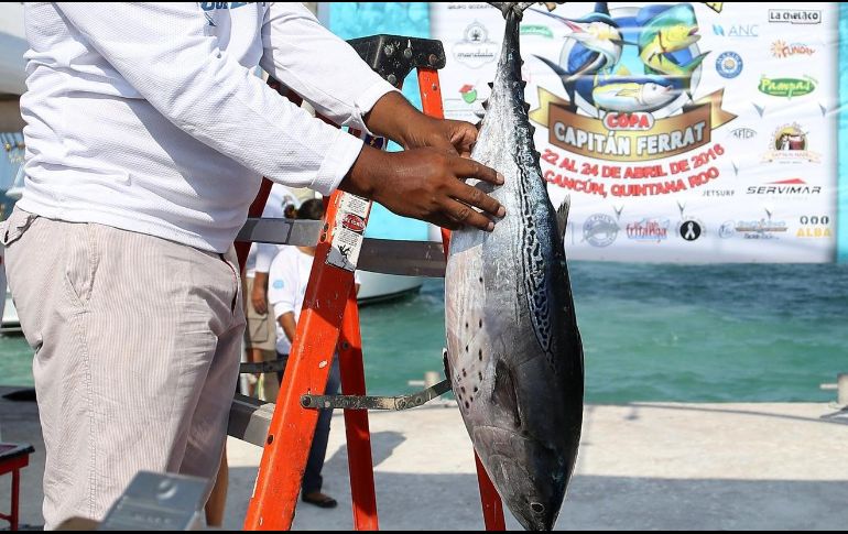 Exhortan a las pesquerías mexicanas a obtener la certificación y demostrar el más alto estándar a nivel global. NTX/ARCHIVO