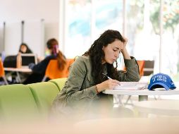 Un psicólogo puede lograr un conocimiento profundo sobre el ser humano y los modelos de intervención. ESPECIAL