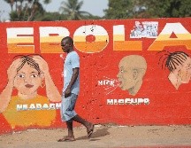 El virus del ébola se transmite a los humanos a través de animales infectados y por los fluidos corporales. EFE / ARCHIVO