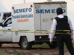 El cuerpo de Saulette presentaba huellas de violencia. EFE/ARCHIVO