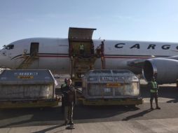 A su vez, el Presidente Andrés Manuel López Obrador (AMLO) celebró que sigan llegando vacunas al país y enfatizó que el plan de vacunación contra coronavirus no se va a detener. SUN / D. Sánchez