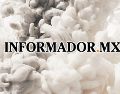 EL INFORMADOR / ARCHIVO