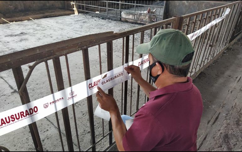 En el lugar se impusieron sellos de clausura y se acordonó con cinta uno de los sitios de resguardo de los animales. ESPECIAL/ Proepa Jalisco