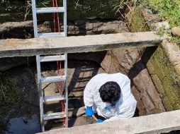 En un predio de Ixtlahuacán de los Membrillos se localizaron los cuerpos de 28 PFSI, cinco cráneos, una osamenta y 18 lotes óseos. ESPECIAL/ Fiscalía de Jalisco