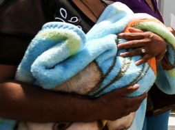 La bebé fue trasladada a Ciencias Forenses para la práctica de peritajes y determinar las causas de la muerte. EL INFORMADOR / ARCHIVO