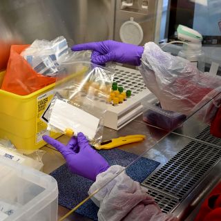 Gran Bretaña realizará pruebas de COVID-19 a todos los niños