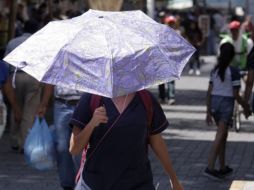 Michoacán y Guerrero son otros de los estados que registrarán altas temperaturas este domingo. EL INFORMADOR / ARCHIVO