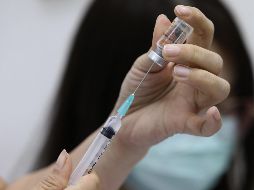 López Obrador, a pregunta expresa, reconoció en su rueda de prensa diaria que ya le ha solicitado a Biden que permita que las farmacéuticas de Estados Unidos distribuyan la vacuna a México. EFE / N. Sangnak