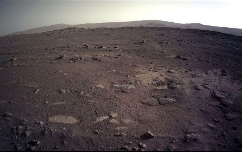 Desde que aterrizó en el cráter Jezero de Marte en febrero pasado, el robot Persevance de la NASA no deja de asombrarnos con las imágenes del 