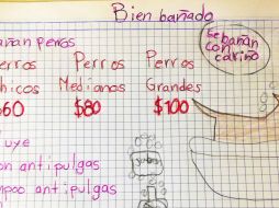 El servicio incluye japón y shampoo antipulgas, así como loción. ESPECIAL/ Facebook Bien bañado 