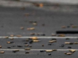 En el lugar se encontraron como indicios más de 25 casquillos. EFE/ARCHIVO