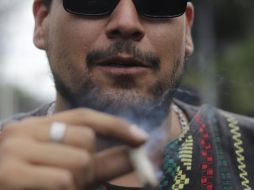 se eliminó la creación del Instituto Mexicano para la Regulación del Cannabis. EL INFORMADOR / ARCHIVO