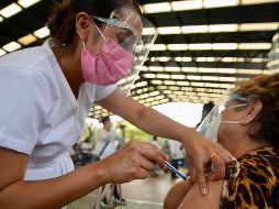 El antídoto de la UNAM ya ha completado la fase preclínica de toxicidad y ahora se está desarrollando la fase preclínica regulada. SUN / RDB