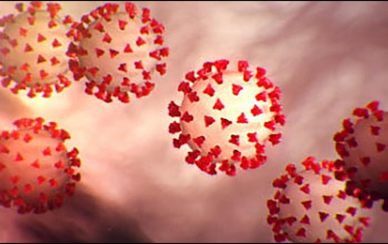 El polen, la humedad, la temperatura y otros aspectos podrían aumentar los casos positivos de COVID-19. AFP / ARCHIVO