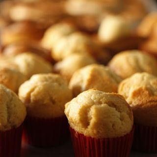 Diputada alerta por ''viajes de cuatro días'' por panqués con marihuana