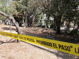 El hallazgo se da en el bosque urbano que se ubica en la colonia Arboledas del Sur. ESPECIAL