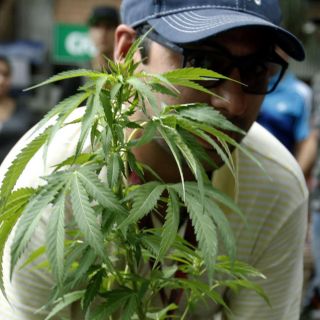 Ven limitada ley para uso lúdico de la mariguana