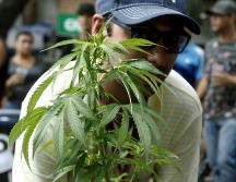 En México aún no hay un organismo gubernamental que controle el mercado del cannabis de manera directa. EFE/ ARCHIVO