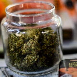 Legalización de marihuana: Iglesia critica reforma