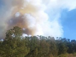 Esta tarde se registra un incendio en el paraje Puerto de Cuevas en el municipio de Mazamitla. Cortesía