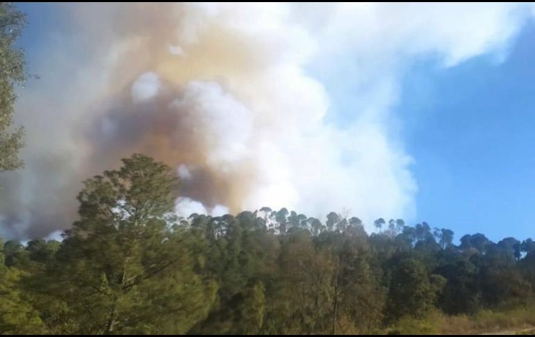 Esta tarde se registra un incendio en el paraje Puerto de Cuevas en el municipio de Mazamitla. Cortesía