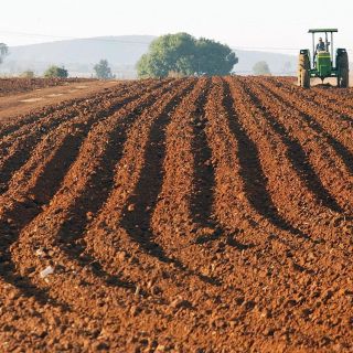 Sader: México apretará el paso en conquista del mercado chino