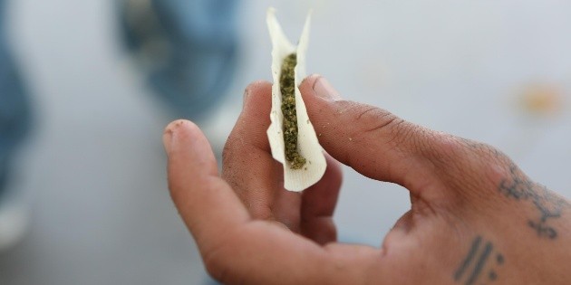 Para desmitificar la marihuana, realizar&aacute;n primer Cannabis M&eacute;xico Summit