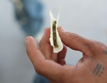 Además habrá ponentes de diferentes países de Latinoamérica, como Colombia y Uruguay, así como de Estados Unidos y Canadá. EL INFORMAOR / ARCHIVO