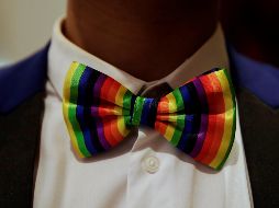 Elecciones 2021: ¿Cuáles son los candidatos LGBT+ en México?