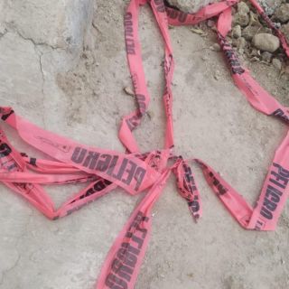 Seguridad en Jalisco: Indagan muerte de menor tras caer un árbol en el Parque Solidaridad