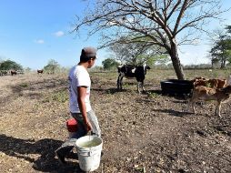 Los acuíferos, que abastecen a la industria y las actividades domésticas, se encuentran sobreexplotados. EFE/ ARCHIVO