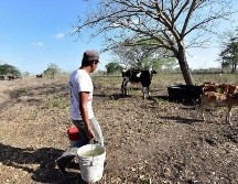 Los acuíferos, que abastecen a la industria y las actividades domésticas, se encuentran sobreexplotados. EFE/ ARCHIVO